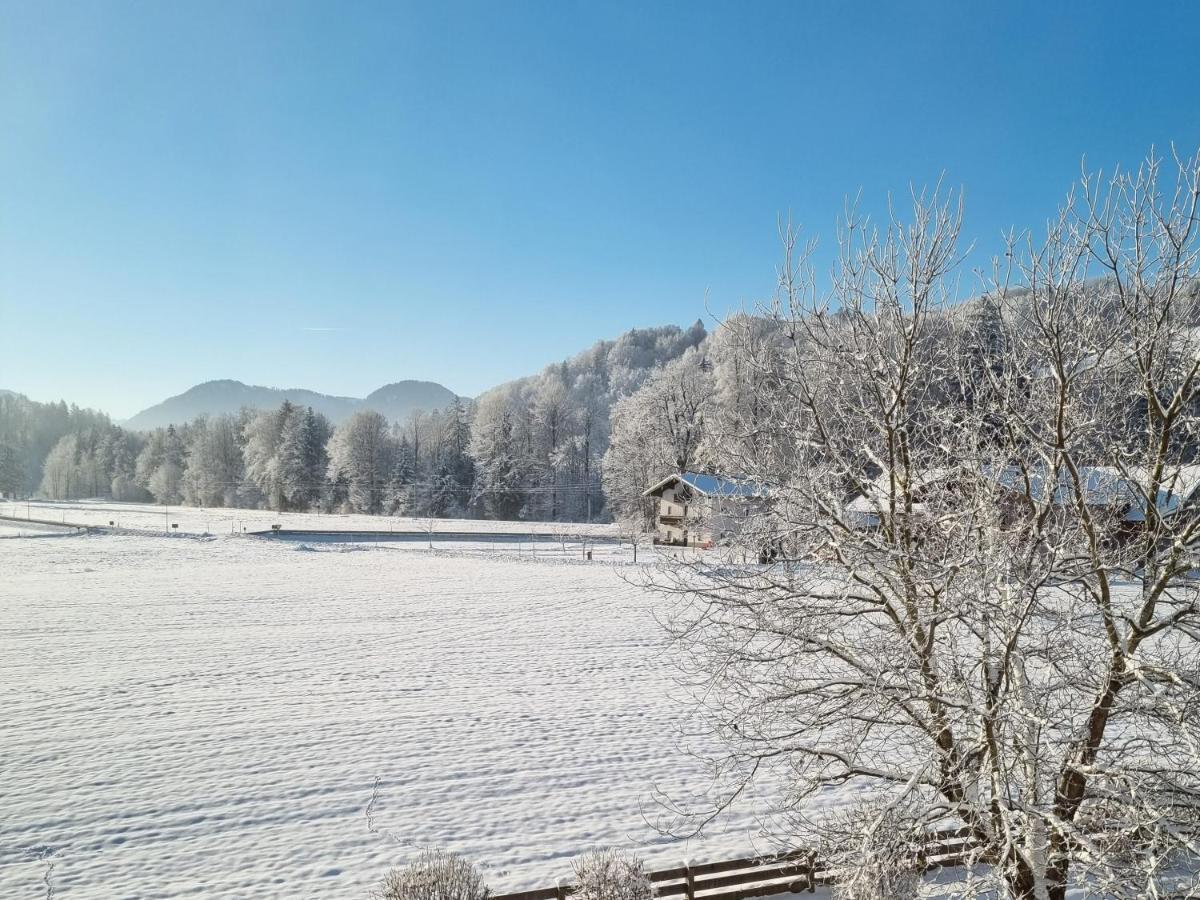 Ferienwohnungen Am Alpenrand Siegsdorf Zewnętrze zdjęcie