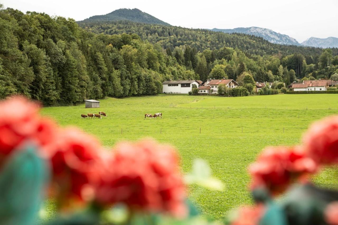 Ferienwohnungen Am Alpenrand Siegsdorf Zewnętrze zdjęcie