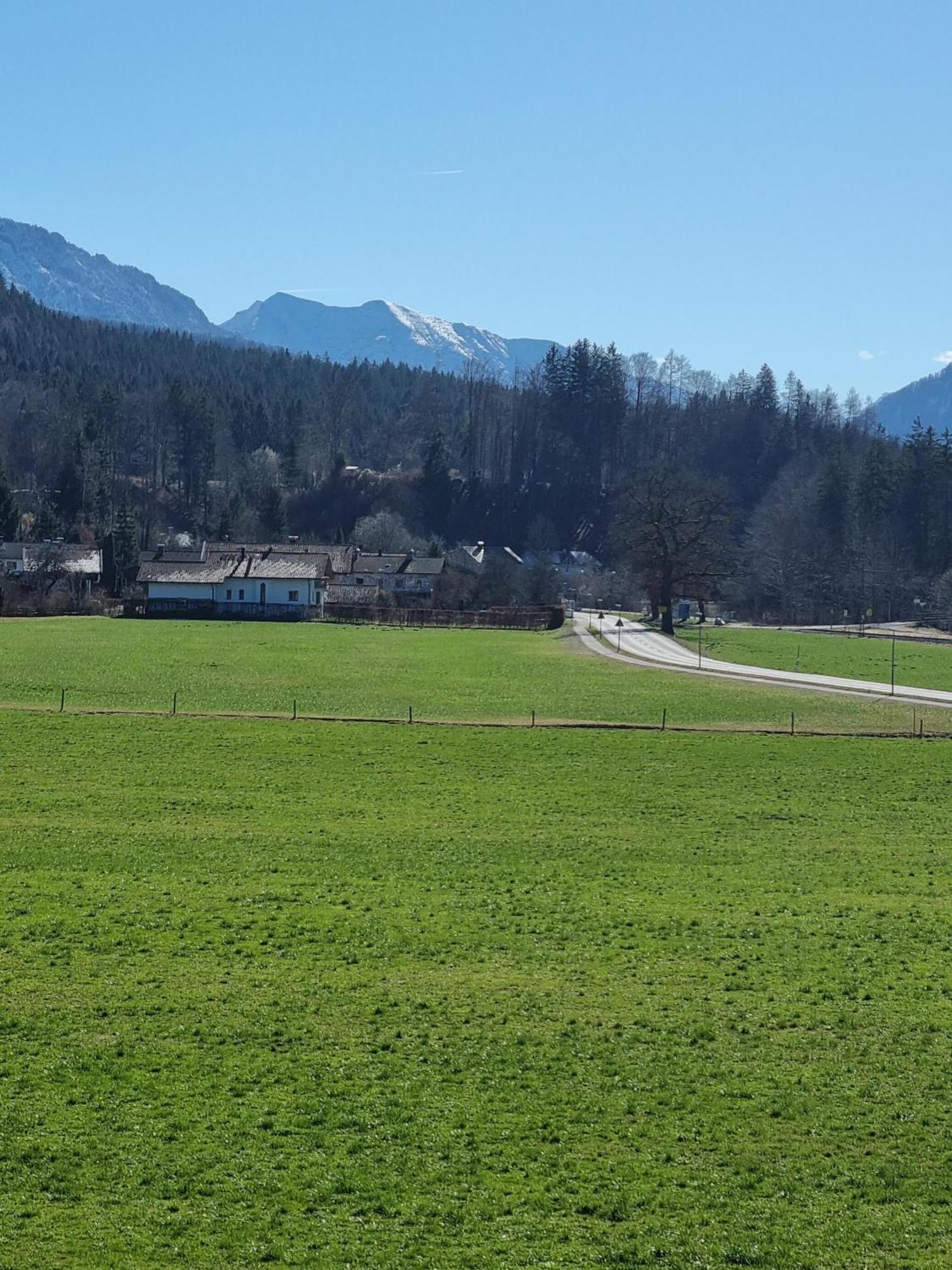 Ferienwohnungen Am Alpenrand Siegsdorf Zewnętrze zdjęcie