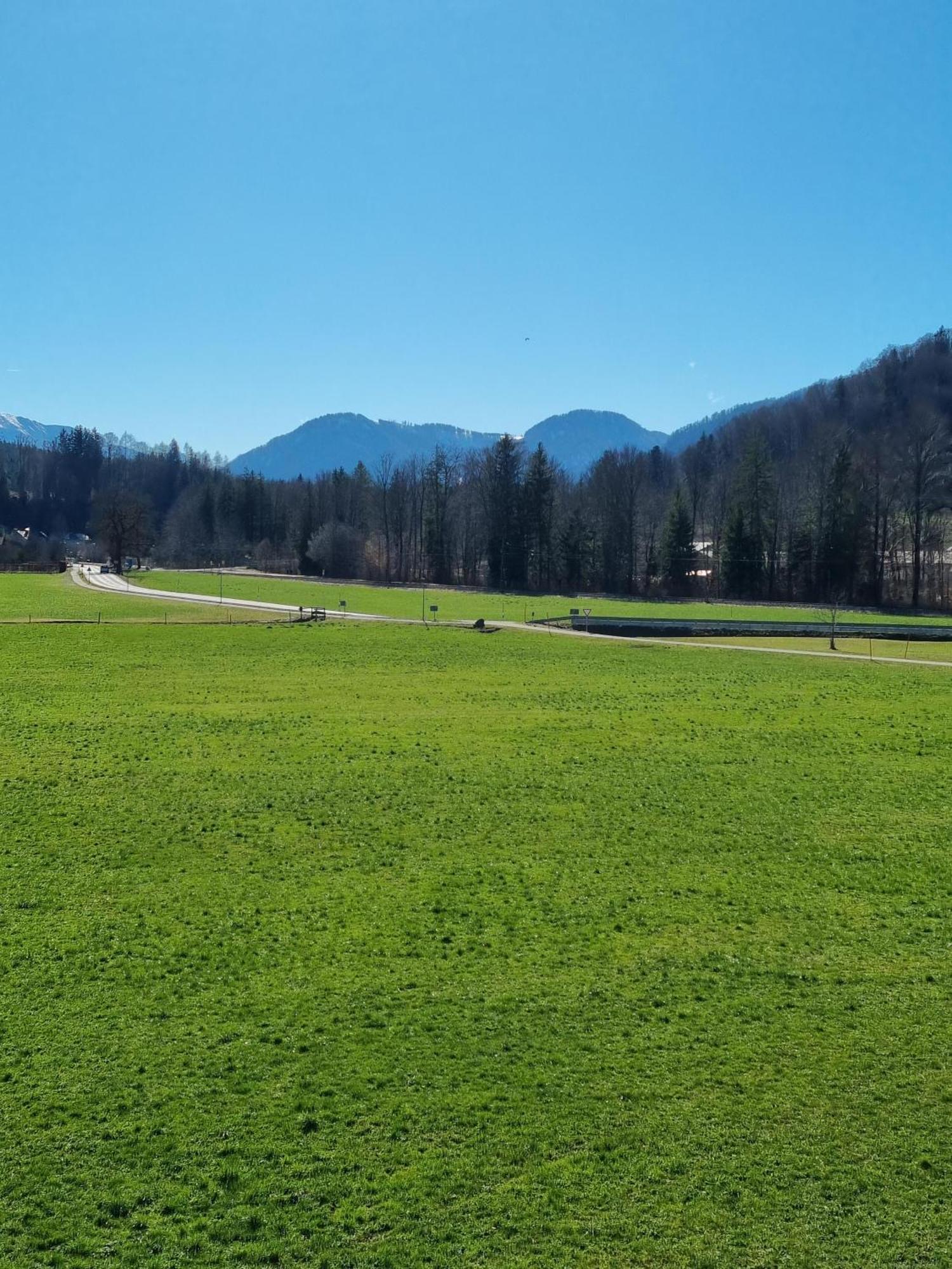 Ferienwohnungen Am Alpenrand Siegsdorf Zewnętrze zdjęcie