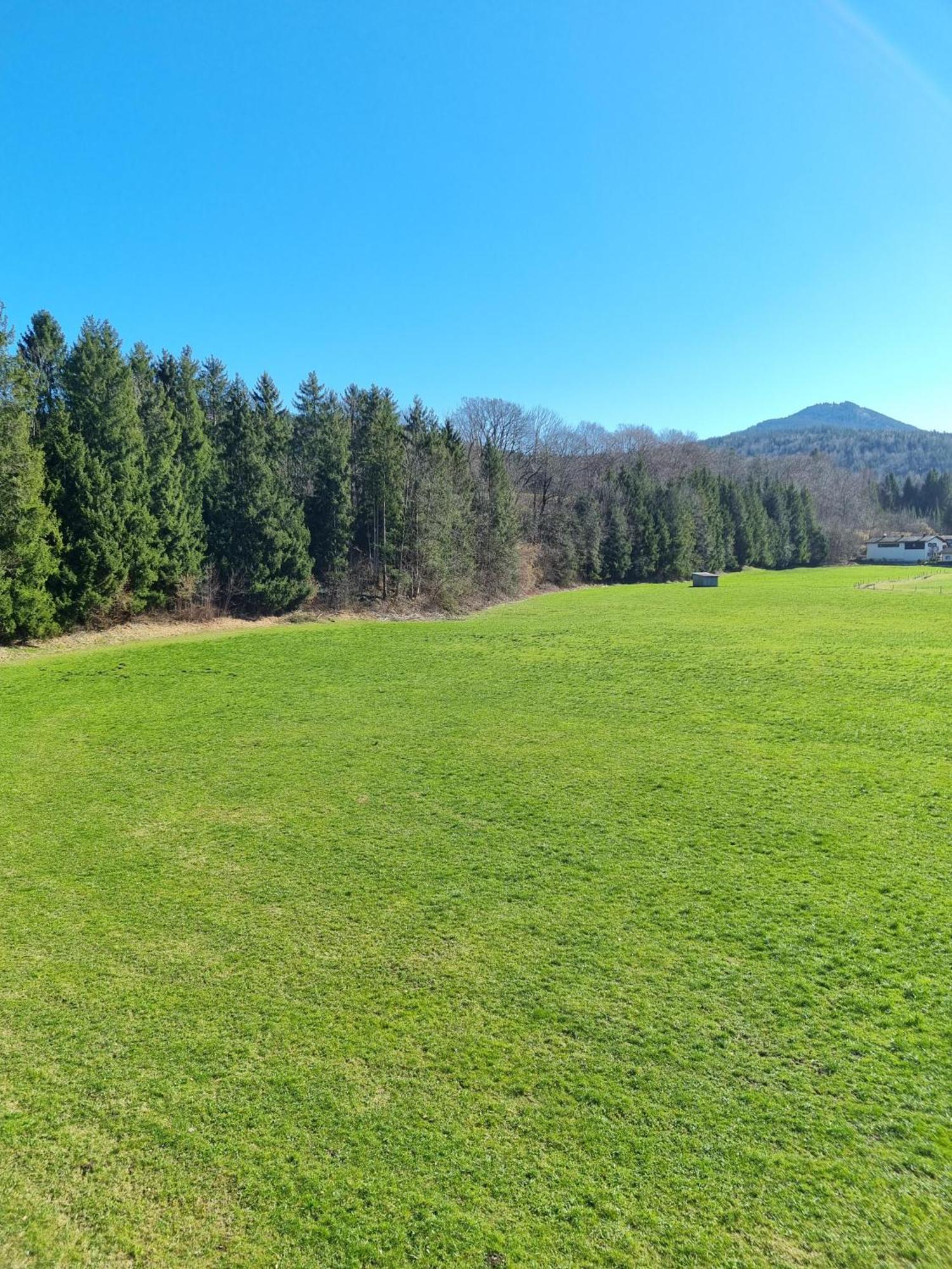Ferienwohnungen Am Alpenrand Siegsdorf Zewnętrze zdjęcie